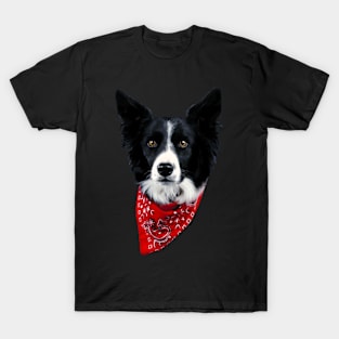 Collie Couture Border, Stylish Statement Tee for Dog Lovers T-Shirt